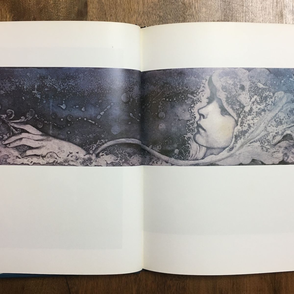 アクエリアム 東逸子画集」 | Frobergue online store