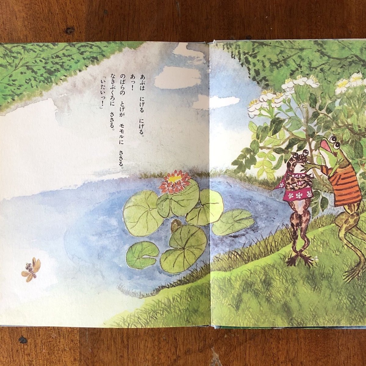 かえるのモモル」関根栄一 作 大道あや 絵 | Frobergue online store