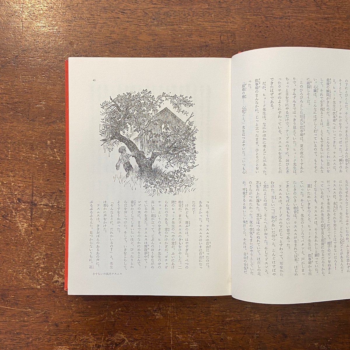 さすらいの孤児ラスムス／名探偵カッレくん：岩波少年少女文学全集11