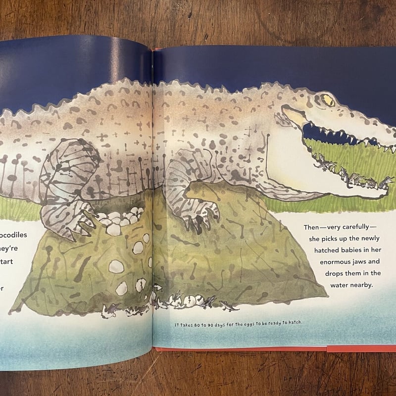 BEWARE OF THE CROCODILE」Martin Jenkins Satoshi