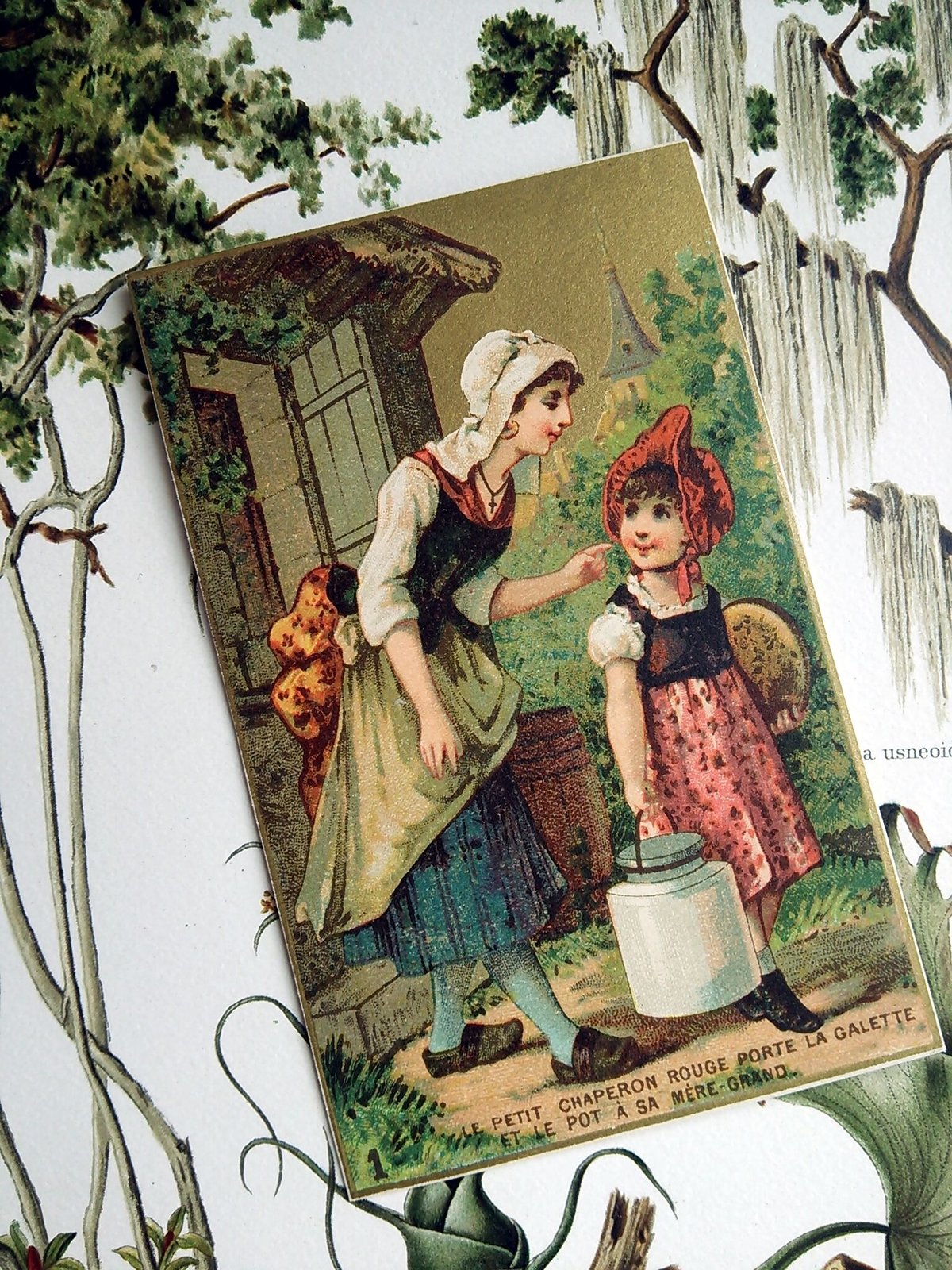 fit=scale-down,w=1200