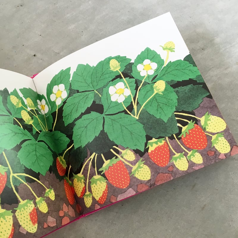 いちごです | MARBLE & Co.