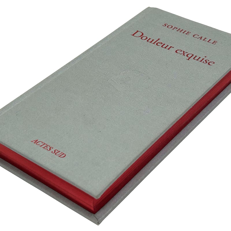 限局性激痛 | 誠光社 通信販売