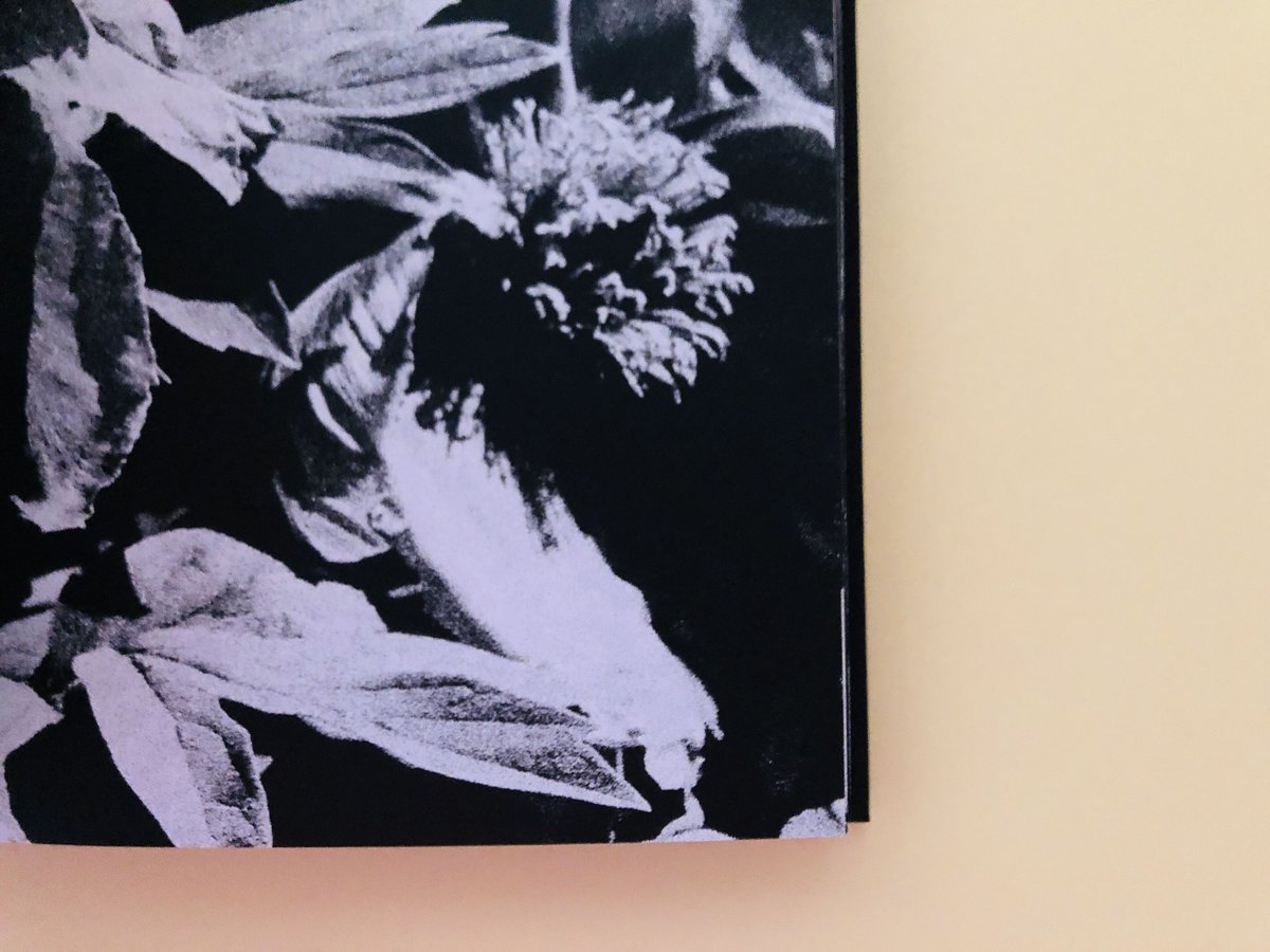 レア物】Daido Silk 白 ナンバーとサイン入り Daido Silk（サイン入り