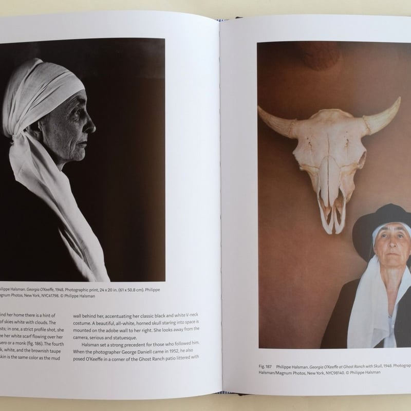 GEORGIA O'KEEFFE LIVING MODERN | 誠光社 通信販売