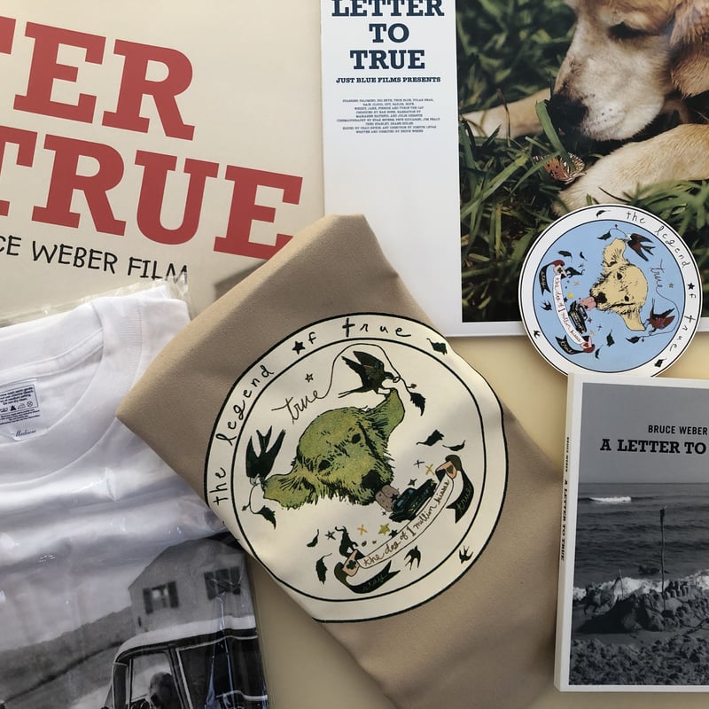 A LETTER TO TRUE COLLECTOR'S BOX | 誠光社 通信販売