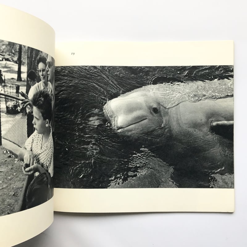 Title/ The Animals Author/ Garry Winogrand