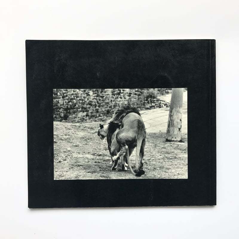 Title/ The Animals Author/ Garry Winogrand