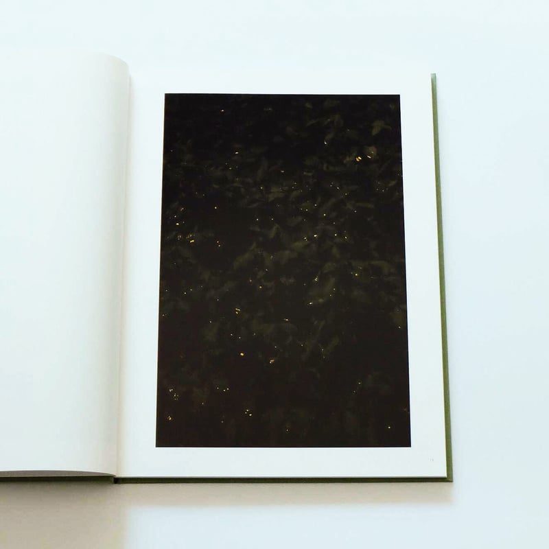 Terri Weifenbach: The may sun | Book Ernest