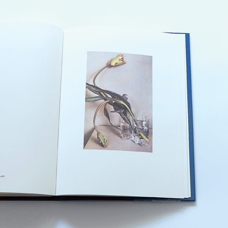 Sheila Metzner: Color | Book Ernest