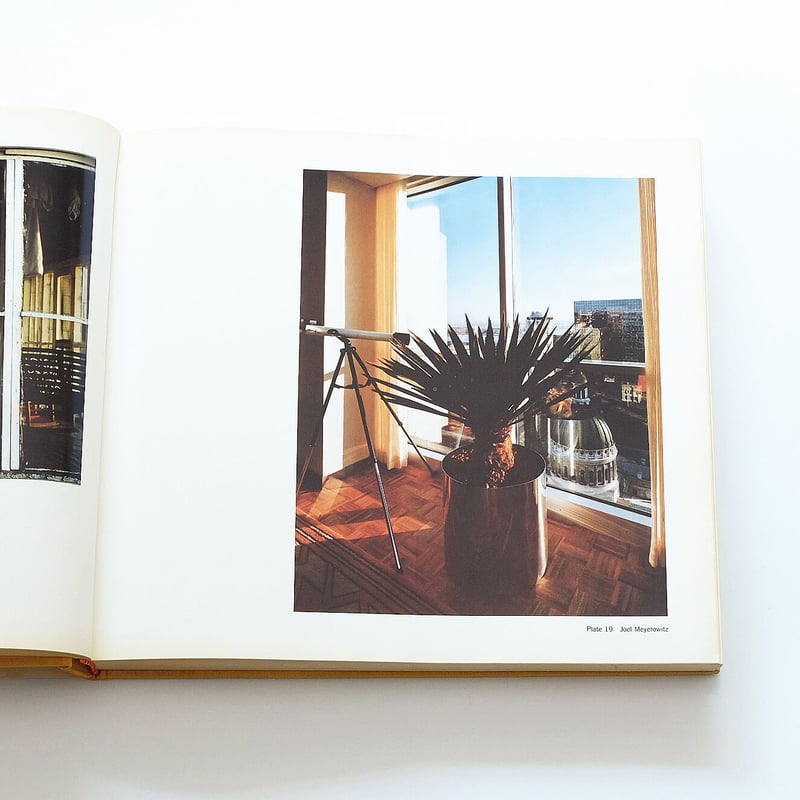 The New Color Photography | Book Ernest