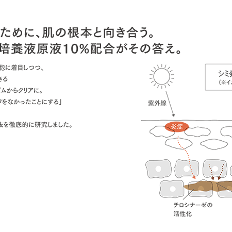 アロンザエックスポインツクリアネオ | アロンザ公式通販サイト