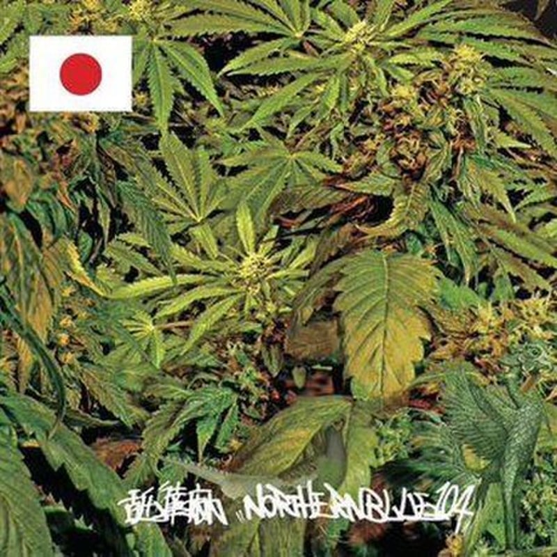 舐達麻『NorthrenBlue1.0.4.』 | 