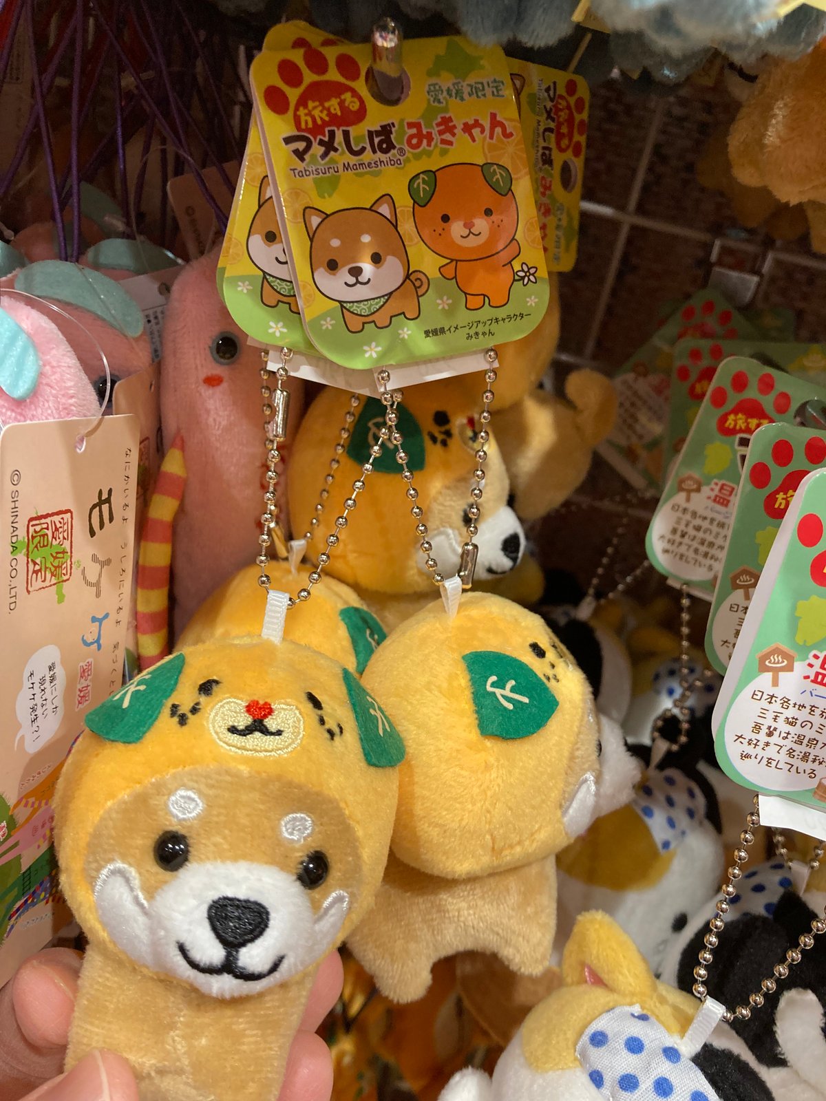 愛媛限定】マメしば みきゃんver. | 道後お土産センター 絣屋本店