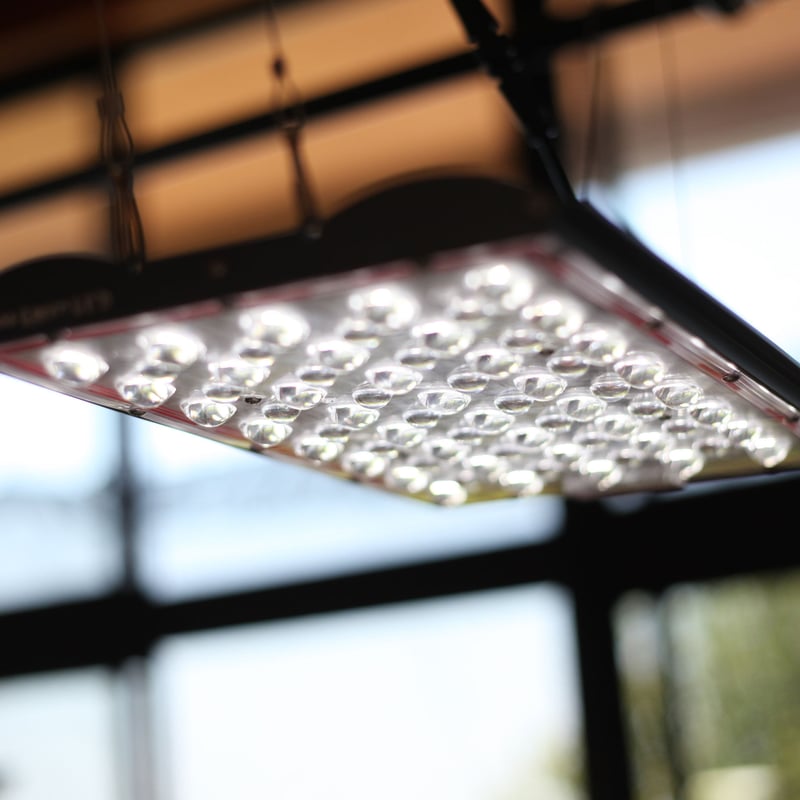 ◇ Helios Green LED PRO Booster 3枚一式セット (303)／ 広