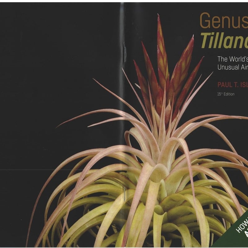 □チランジア書籍／Genus Tillandsia P28 | 常葉植物園 Tokiwa Bo