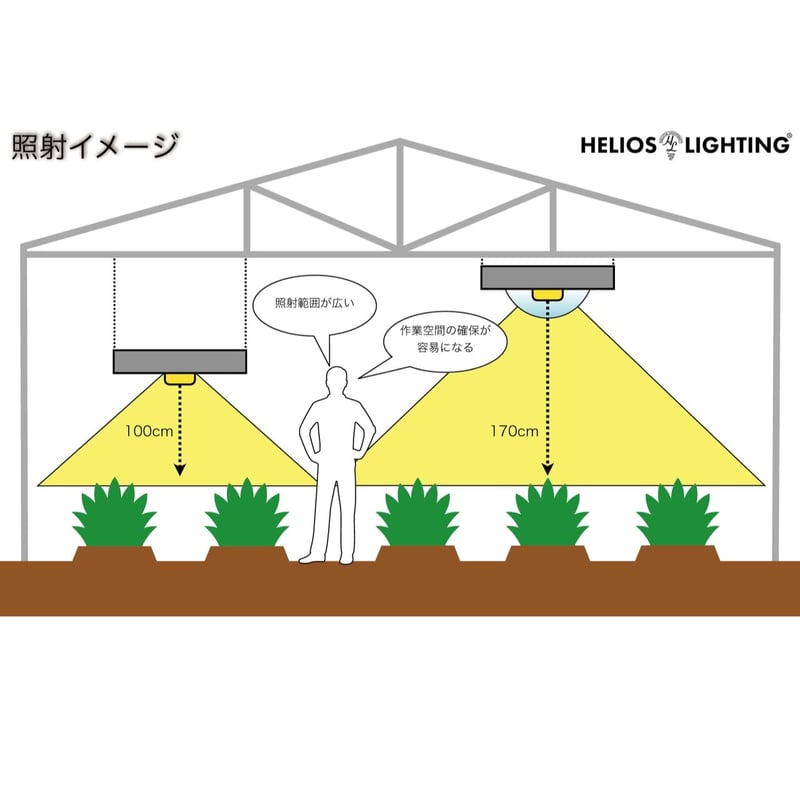 ◇ Helios Green LED PRO Booster 3枚一式セット (303)／ 広