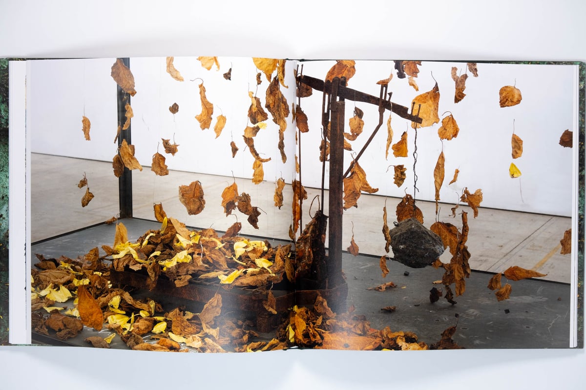 Anselm Kiefer: Mein Rhein | Art Book Iskusstvo