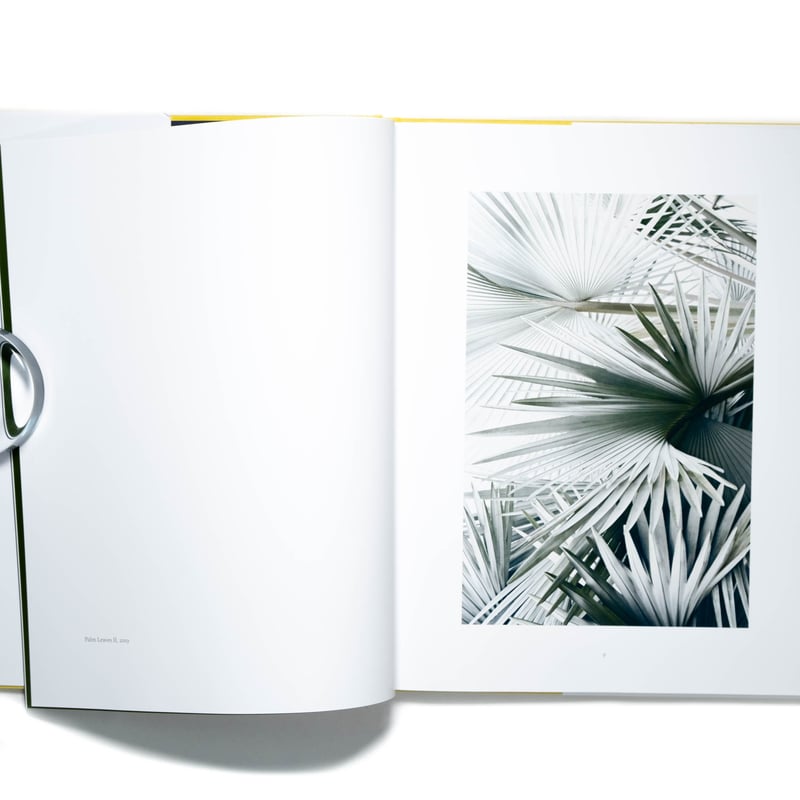 Philipp Keel: Last Summer | Art Book Iskusstvo