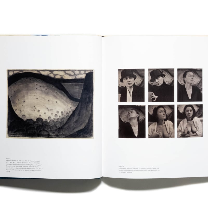 Georgia O'Keeffe: To See Takes Time | Art Book