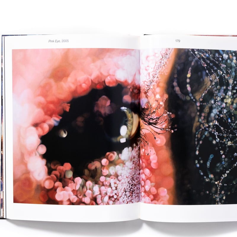 Marilyn Minter | Art Book Iskusstvo