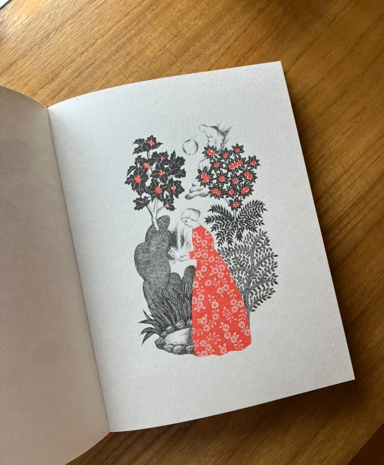 杉本さなえ原画（フレーム付き） 杉本さなえ原画（フレーム付き）