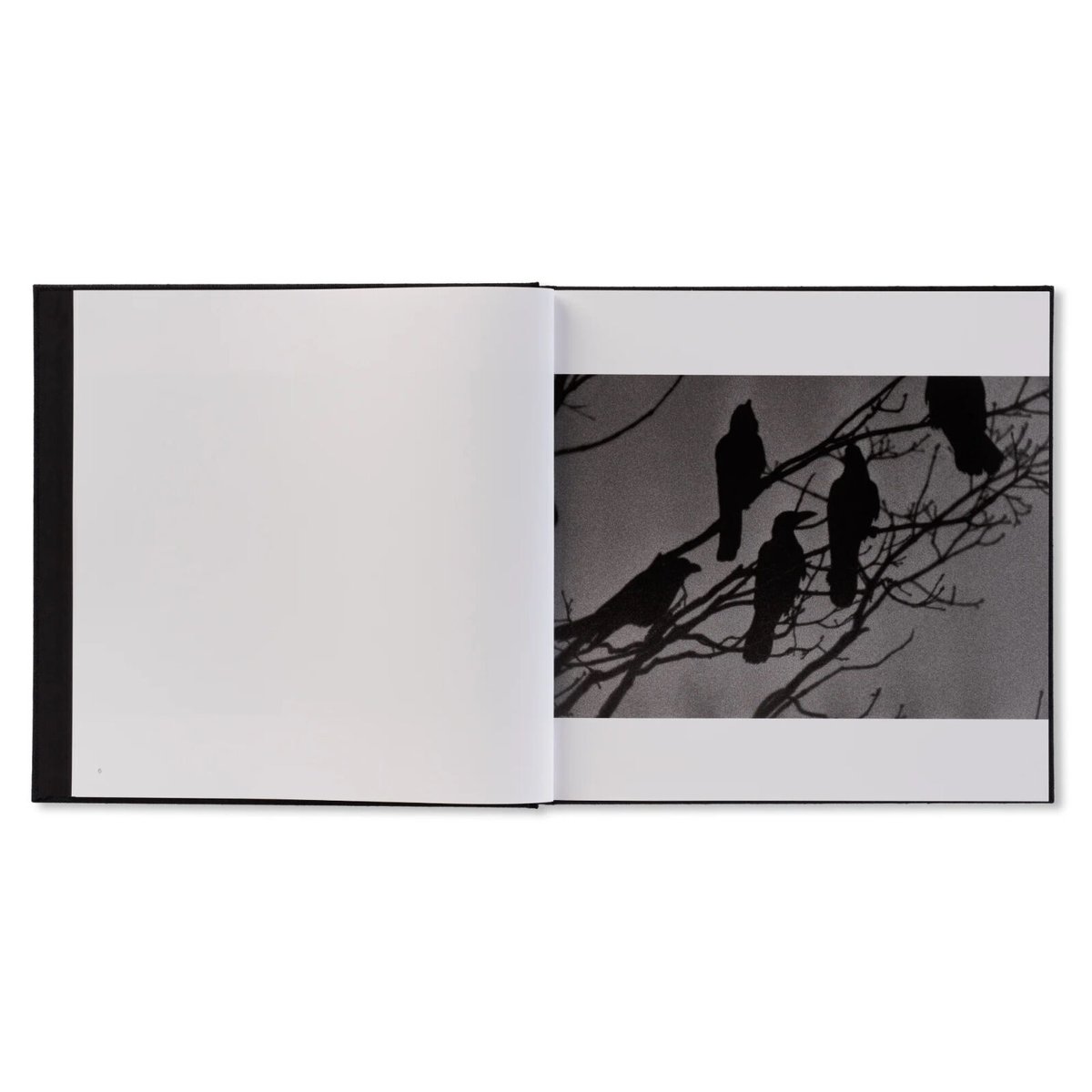 鴉（RAVENS） / 深瀬昌久 | ホホホ座浄土寺店