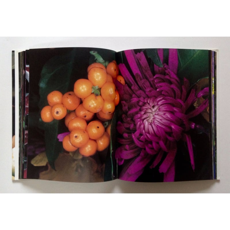 花曲 - 荒木経惟 | ホホホ座浄土寺店