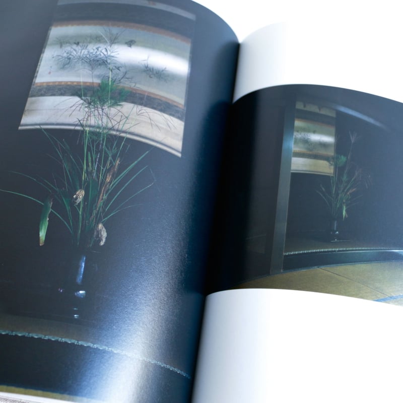 工芸青花13号 | archipelago