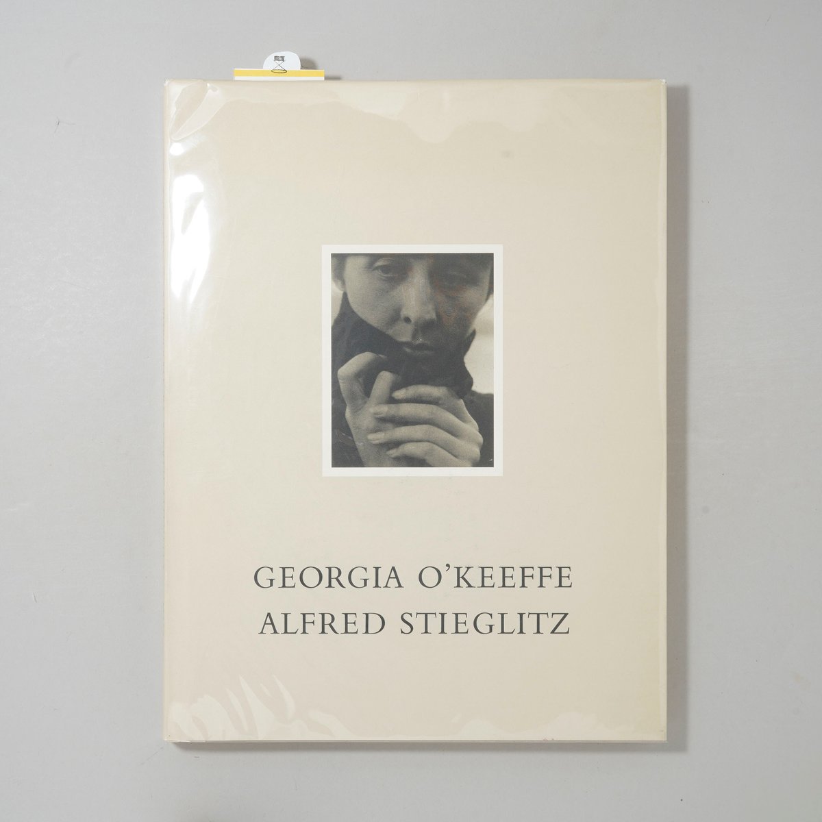 GEORGIA O'KEEFFE A PORTRAIT BY ALFRED STIEGLITZ
