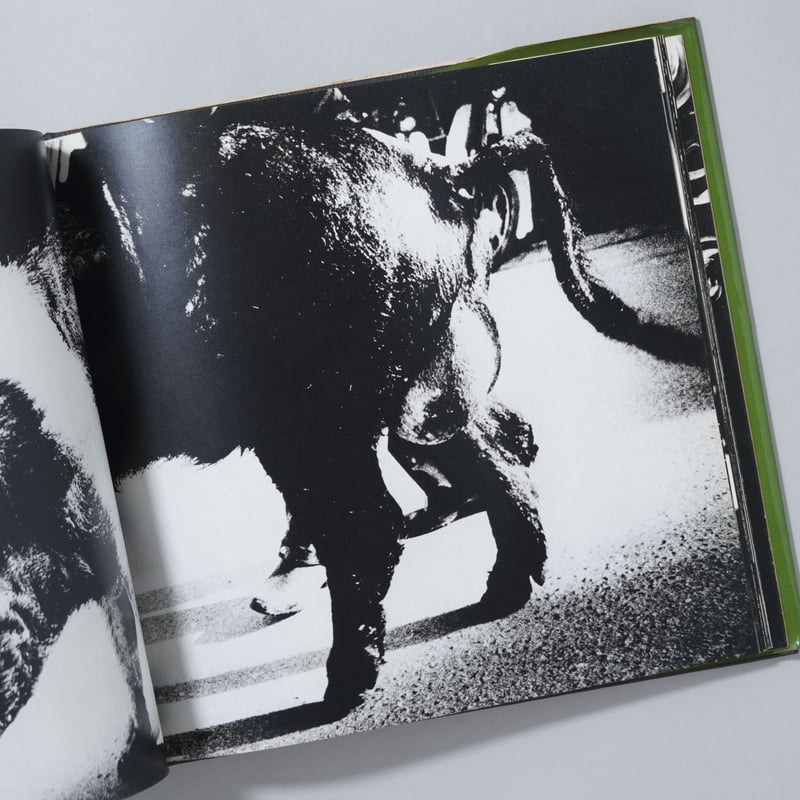 ソノラマ写真選書6 続にっぽん劇場 写真帖 Japan, a Photo Theater Ⅱ