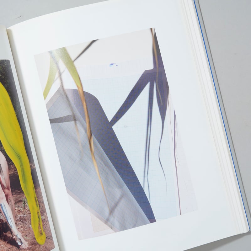 ROXANE Ⅱ / Viviane Sassen(ヴィヴィアン・サッセン) | bookob