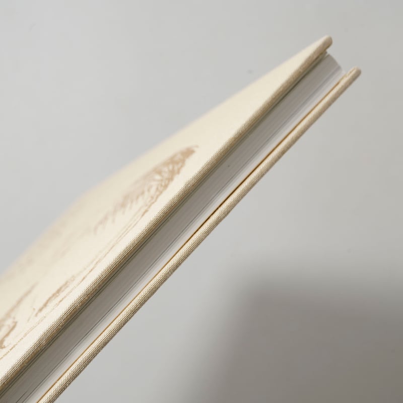 Bright, bright day / Andrey Tarkovsky(アンドレイ・タルコ