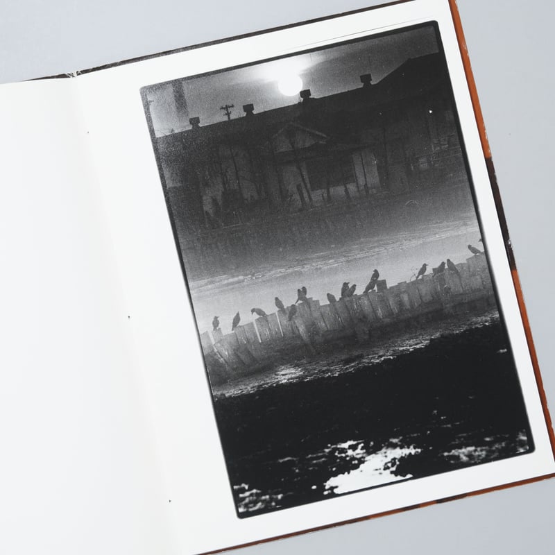 屠 / 深瀬昌久(Masahisa Fukase) | bookobscura｜写真集専門書店