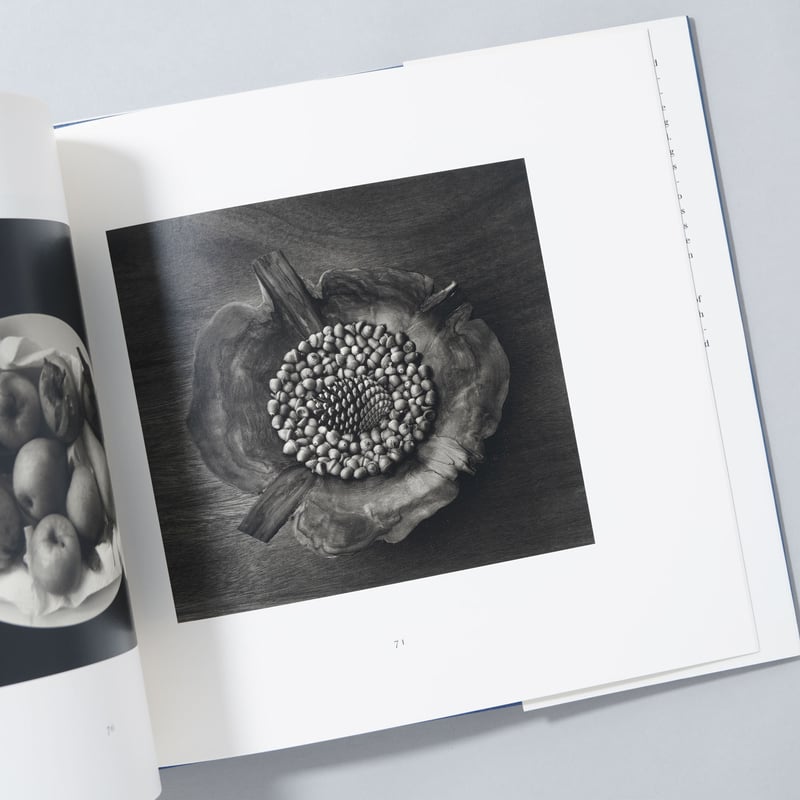 NEW ENGLAND DAYS / Paul Caponigro(ポール・カポニグロ) |