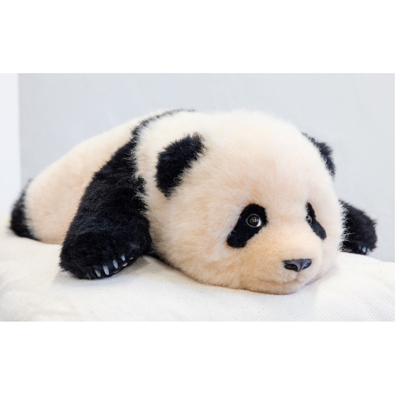 fit=scale-down,w=1200