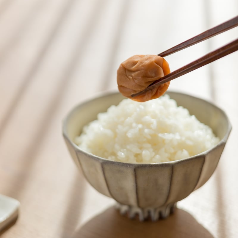 三年梅箱入り ご贈答用 500g | 吉田屋オンラインショップ ｜ 創業天保