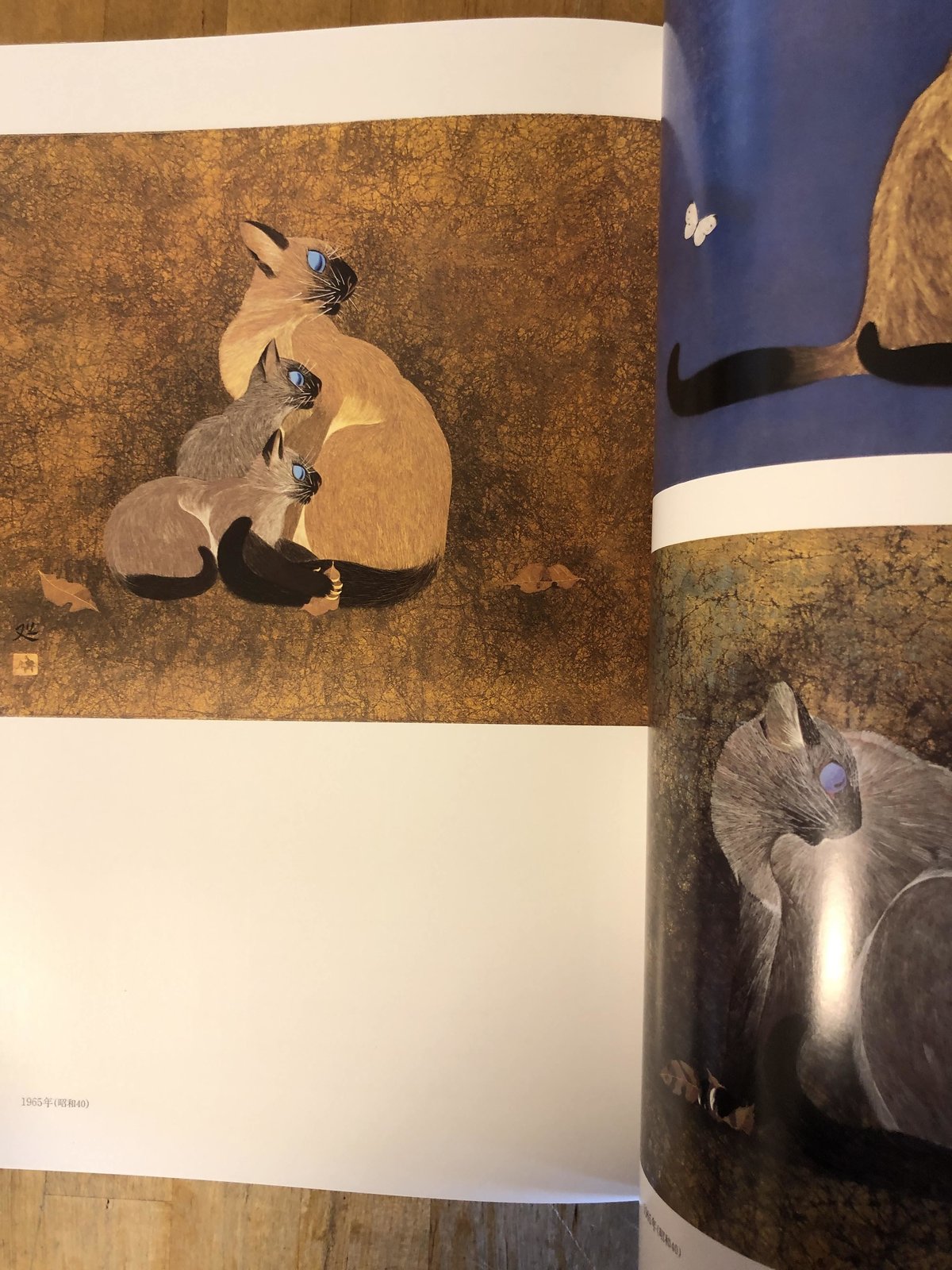 加山又造全集（全5巻揃） 学習研究社 | ファーイースタン・オールド