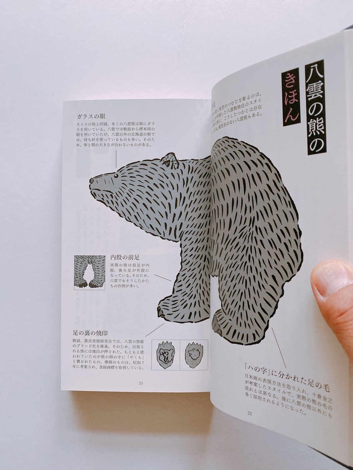熊彫図鑑 第二版 | BOOKNERD