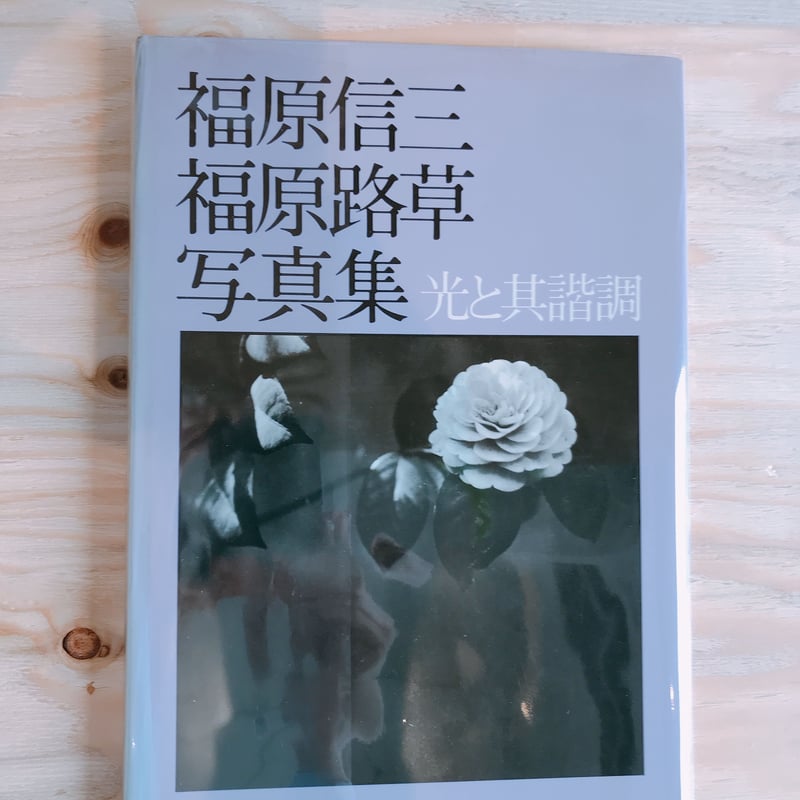 福原信三・路草写真集 光と光と其諧調 | BOOKNERD