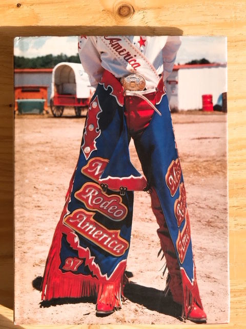 LISA EISNER RODEO GIRL | BOOKNERD