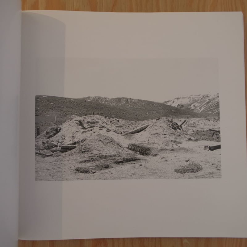 LEWIS BALTZ PARK CITY | BOOKNERD