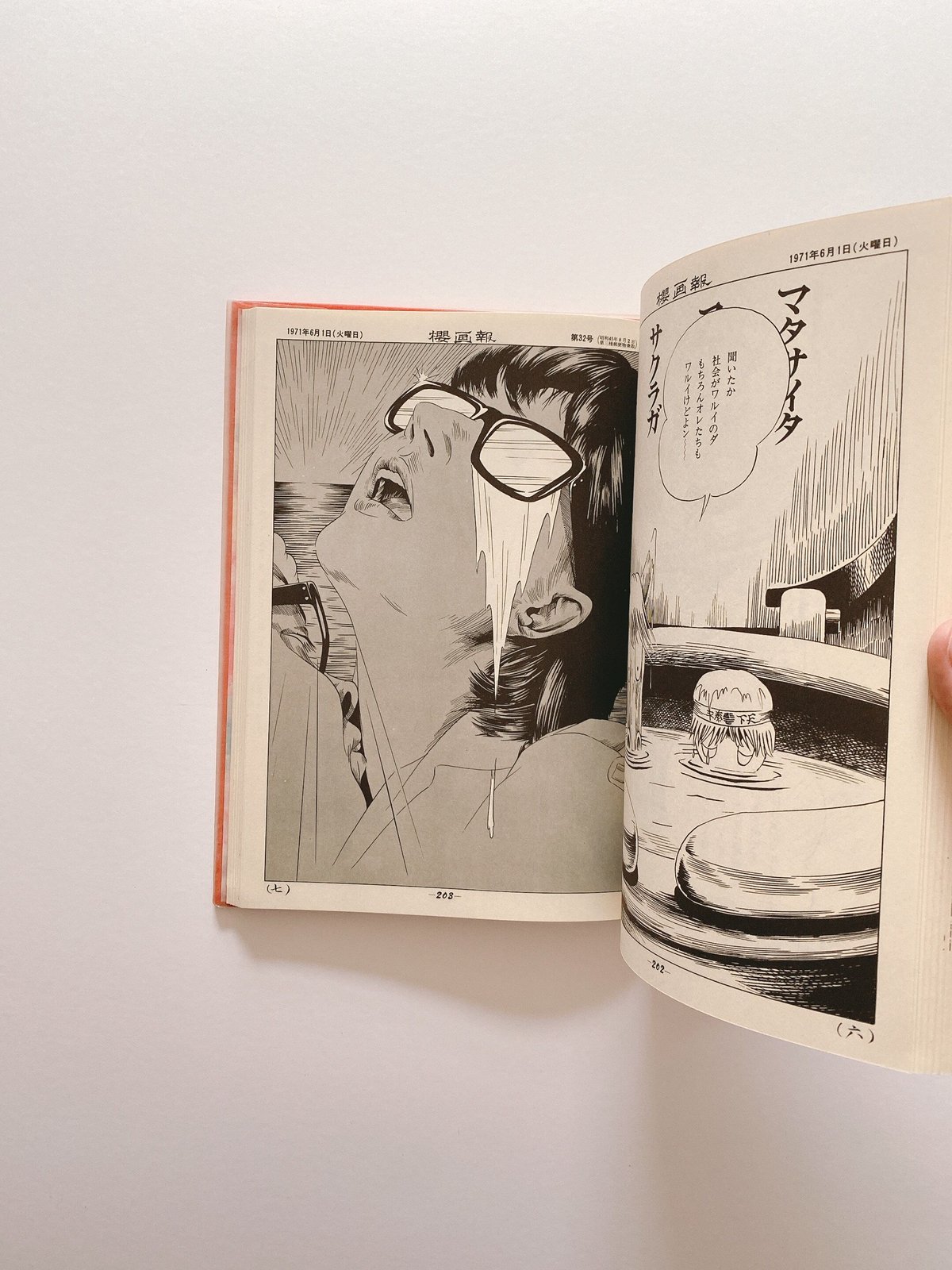 櫻画報永久保存版 | BOOKNERD