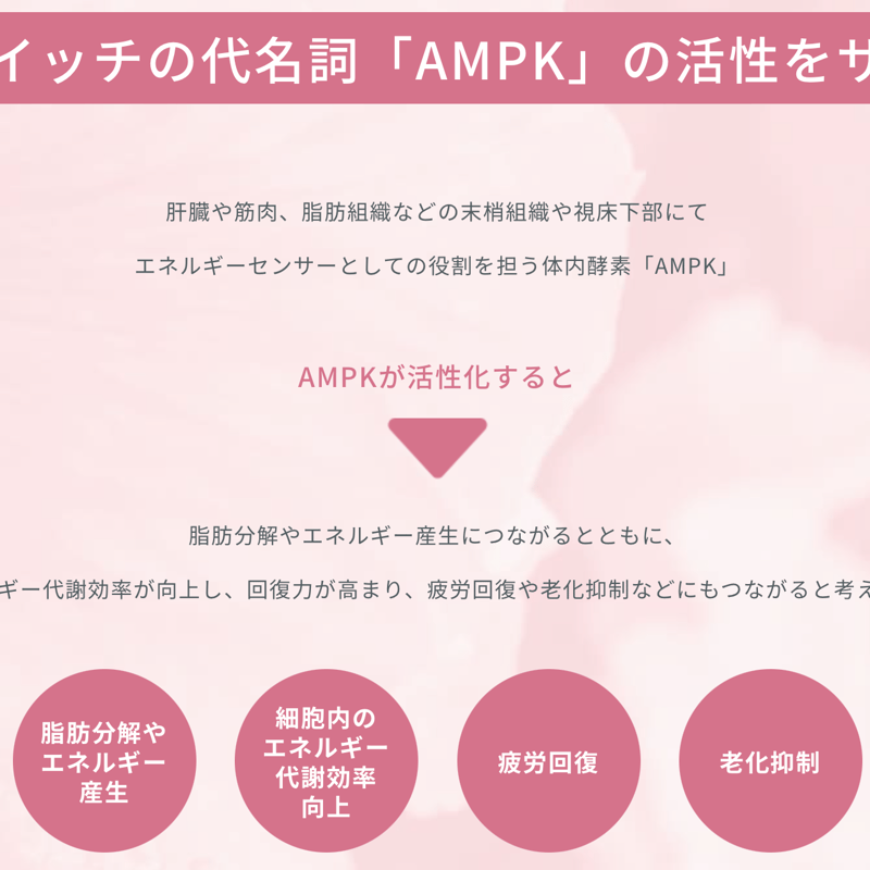 Ruby Fit（ルビーフィット） （キュア） | メディカルエステiroha