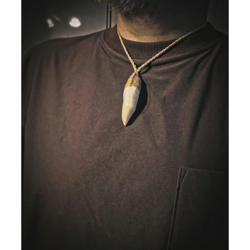 ボーンカービング 鯱歯ネックレス OR-269 | Ocean's Bone Carvings