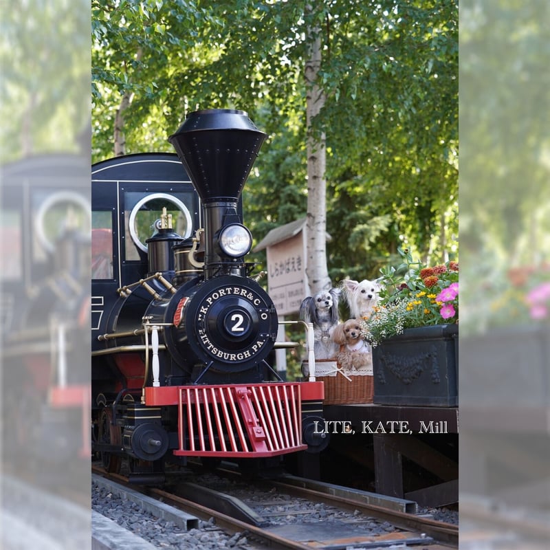 品番WF621-NA 布付き籐かごバスケット ピクニックバスケット