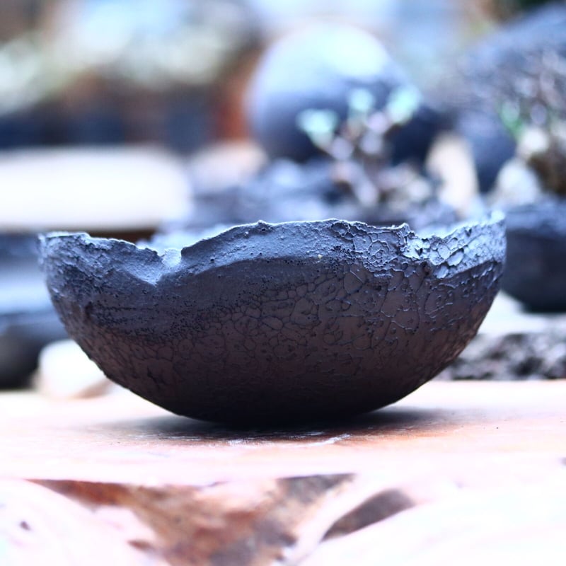 たけろうポット アサチギリ / コクコク / LL no.213-16 | 芽の巣山