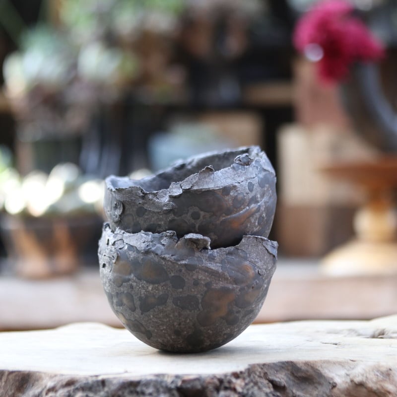 たけろうポット／クロサビ／チギリ／M no.1106-46 | 芽の巣山