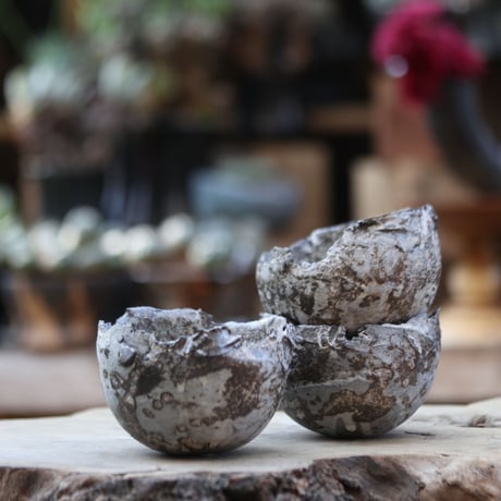 シロサビ | STORES