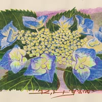 Pink Rose」板絵テンペラ画 | ようこそ！ アトリエ・ルネッサンス